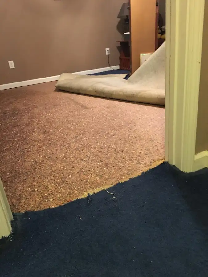 Carpet pad removal revealing water damage during Water Mitigation Services in Salmon Creek