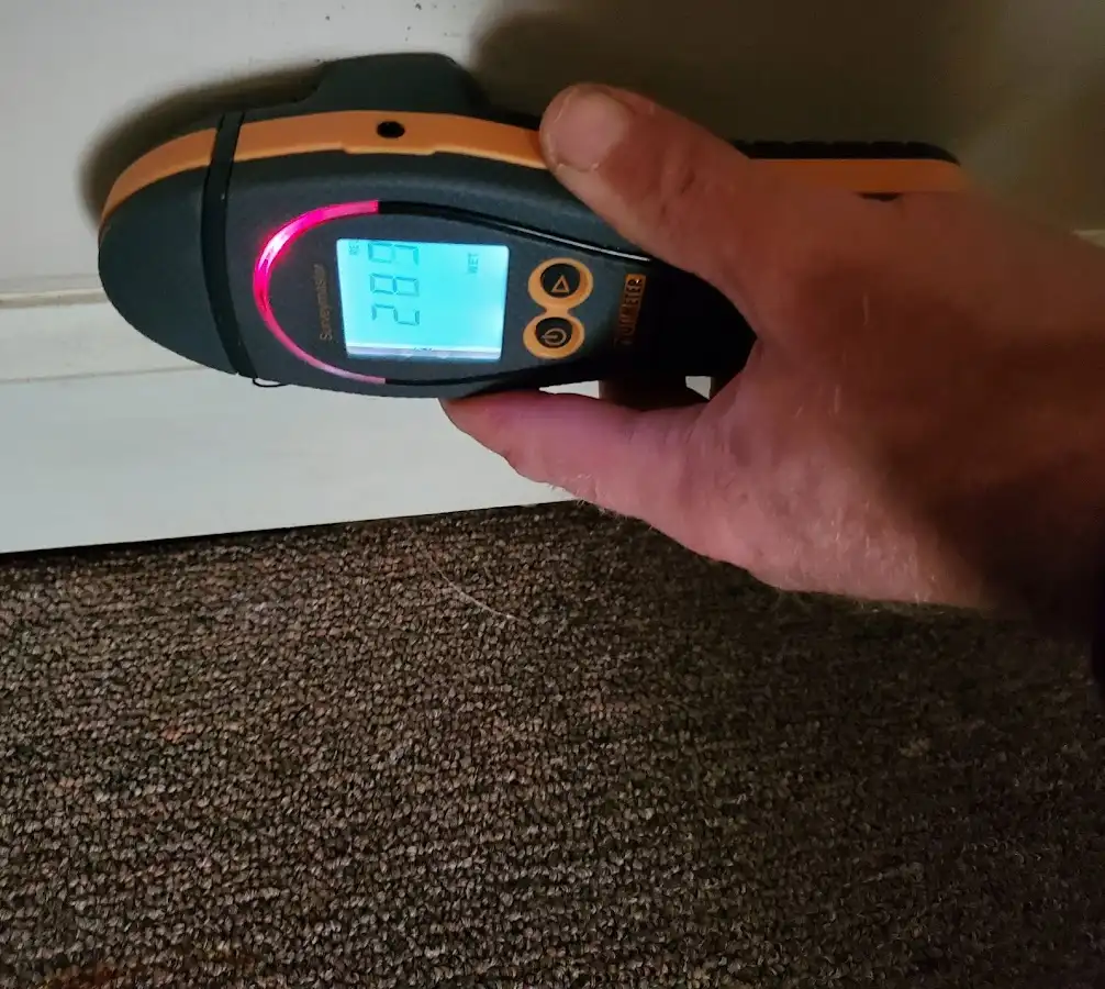 Moisture detection at baseboard during Storm Damage Restoration in Salmon Creek